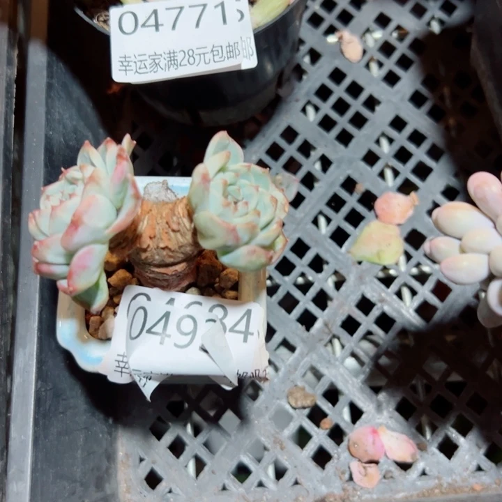 幸运的是我还没遇到过这样
