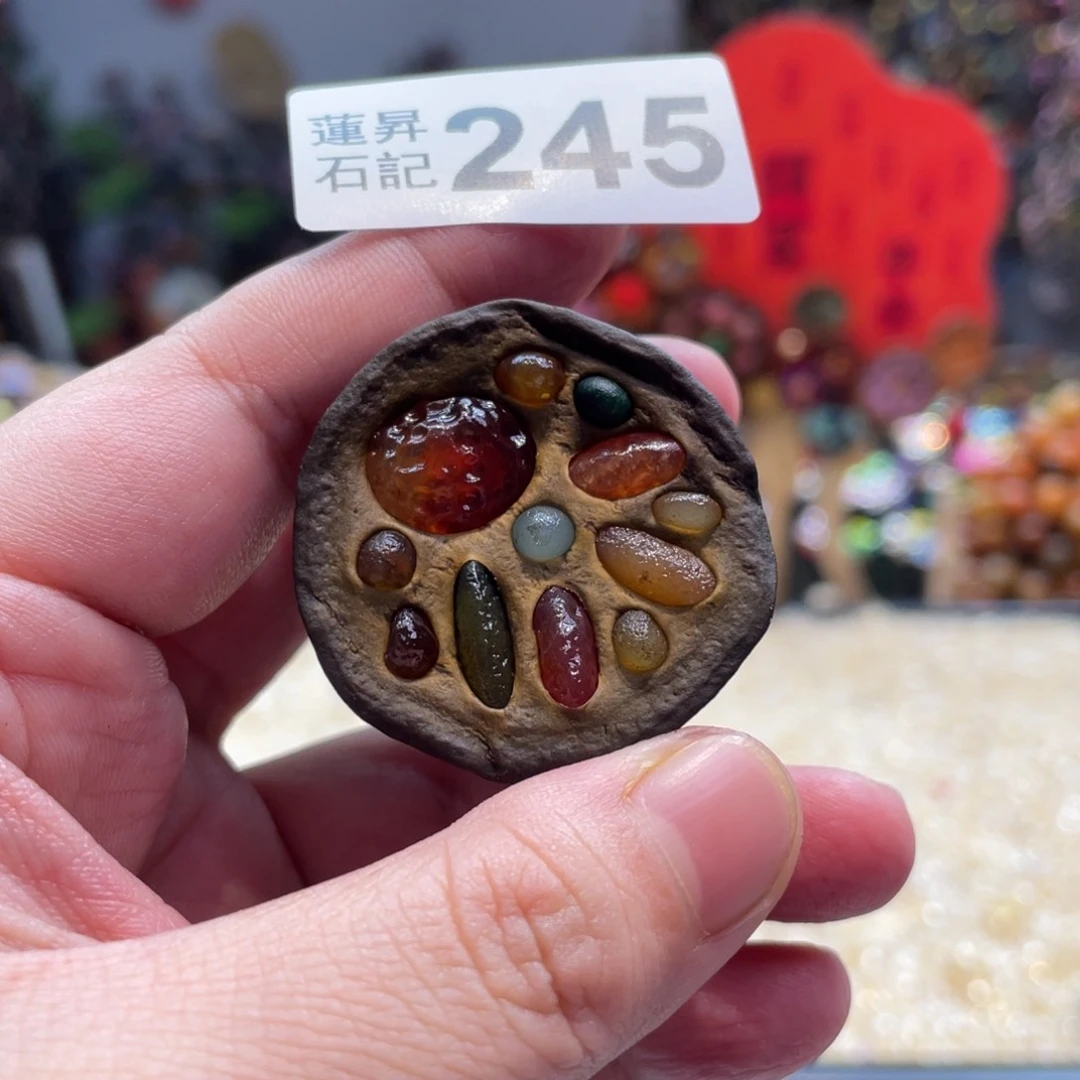 核桃木/黑胡桃（胡桃木）糖*+245