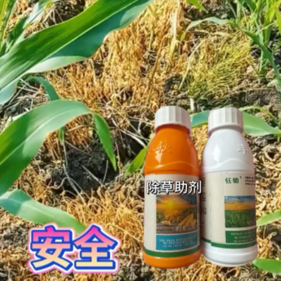 玉米苗后除草助剂组合