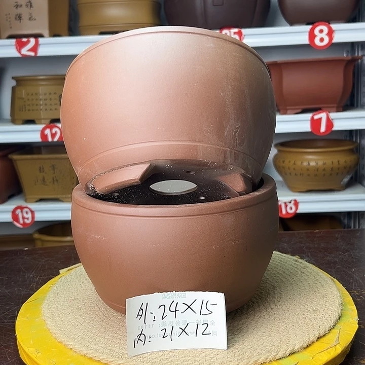 花盆紫砂你在一起