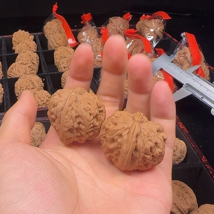 香***白吊坠龙脊菩提啊啊啊啊啊啊啊元宝2