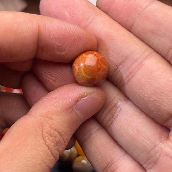 玛瑙/玉髓未镶嵌珠子硅化玉