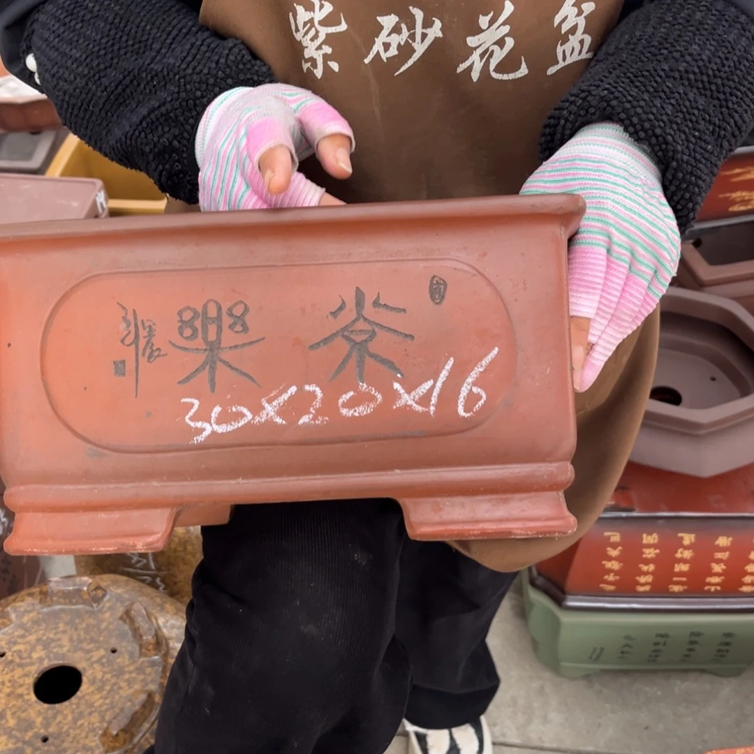 紫砂花盆盆景艺术