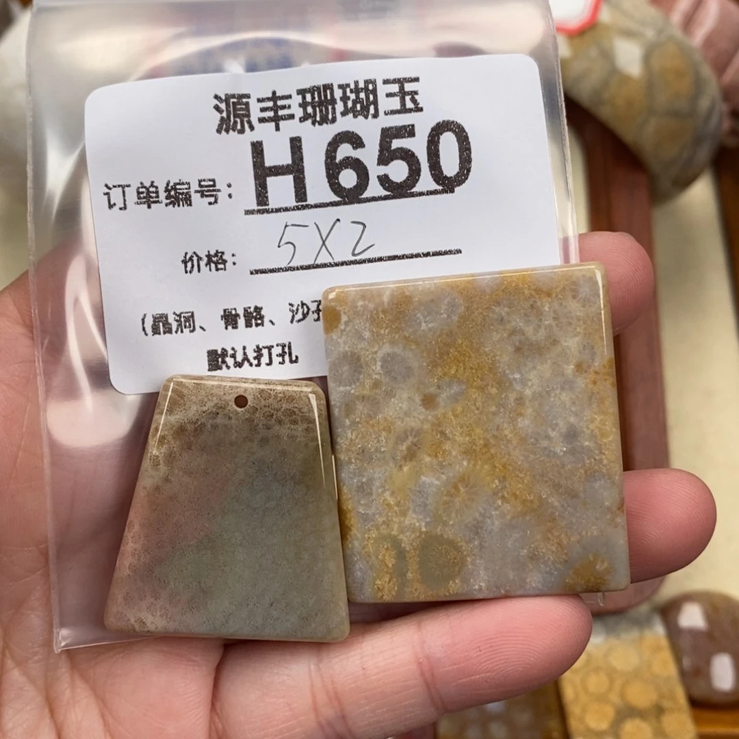 硅化玉颈饰未镶嵌这***子
