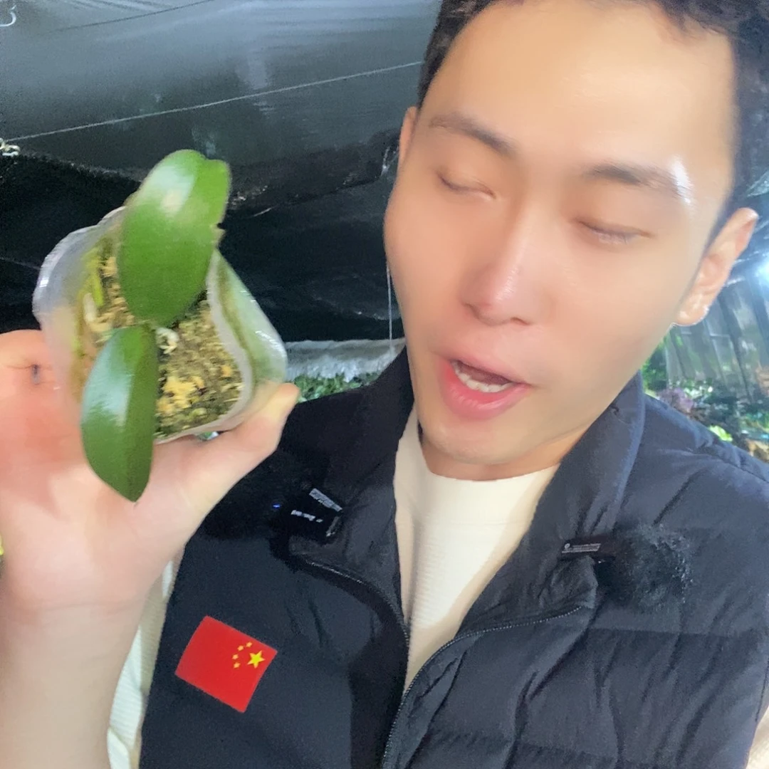 无花朵佛陀宝藏福利