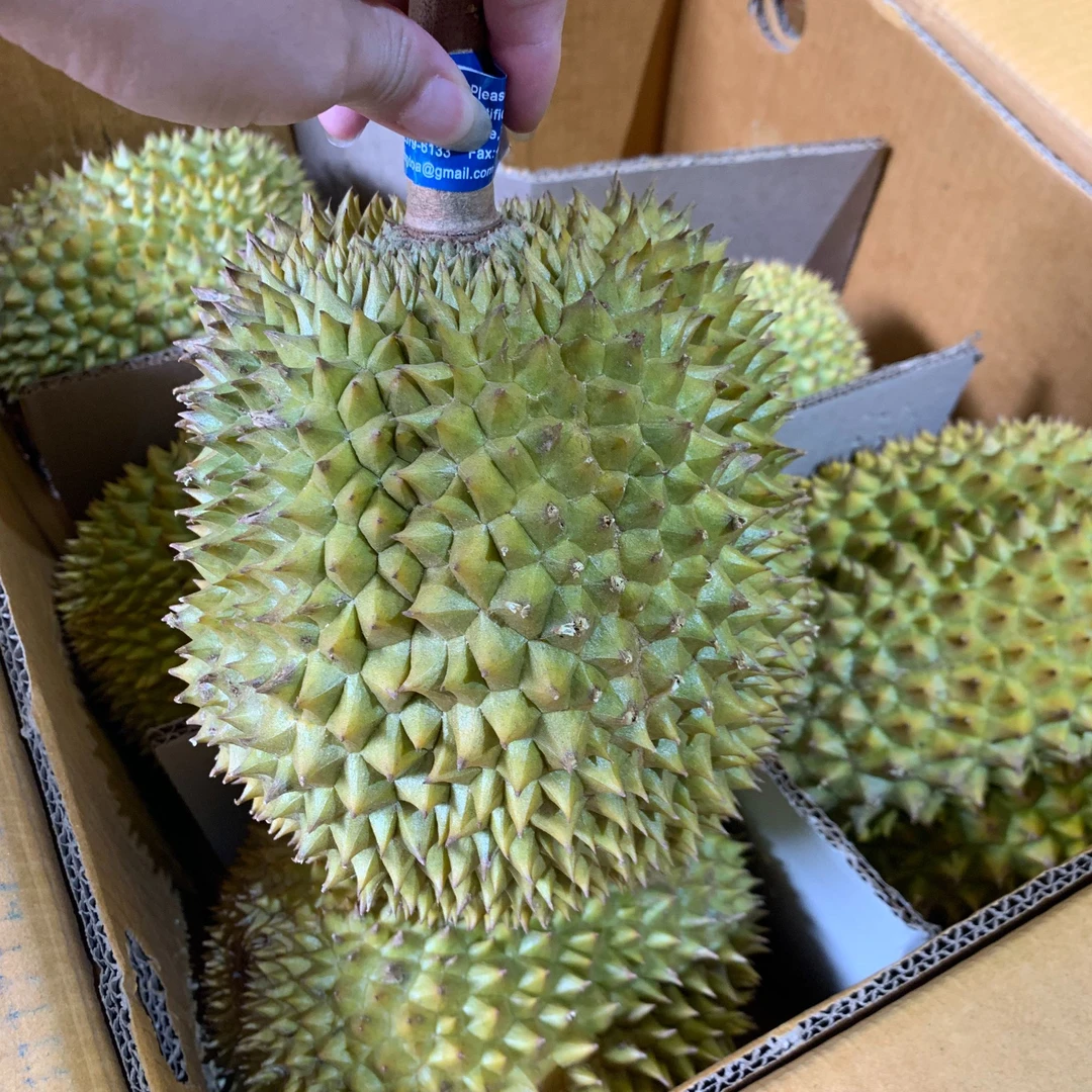 【软金月】泰国新鲜榴莲 空运榴莲 干包里糯 拍下默认开果 核大 （单果约3-6斤）软金月泰国