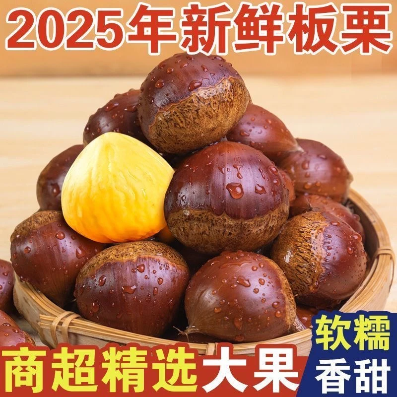 2025头茬板栗5斤现摘现发软糯香甜不难剥皮坏果包赔赠栗爪（精品）