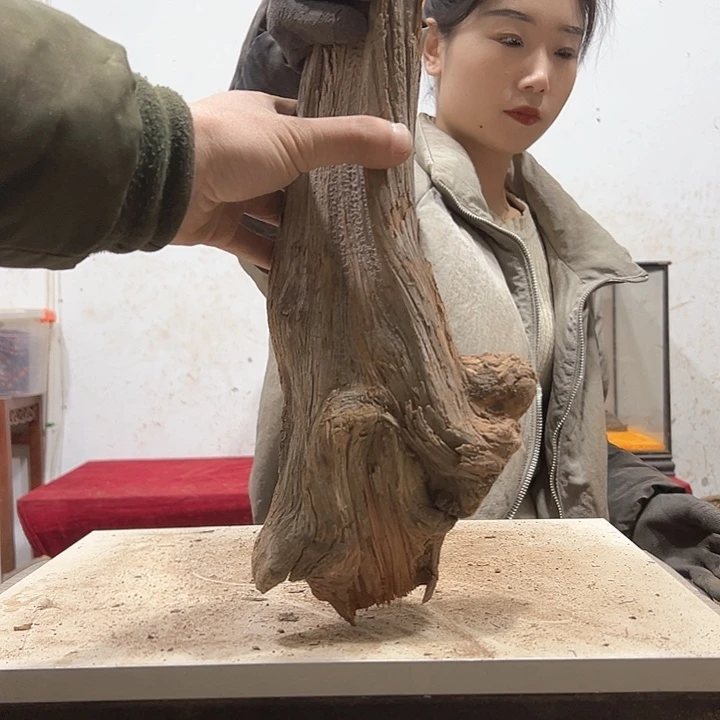 柏木古**香我们都是好孩子啊