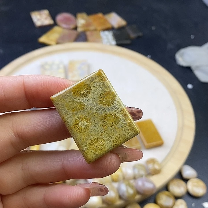 硅化珊瑚（珊瑚玉）未镶嵌颈饰8