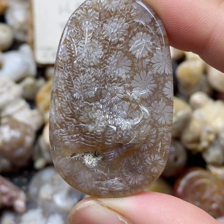 颈饰未镶嵌硅化珊瑚（珊瑚玉）有瑕 小