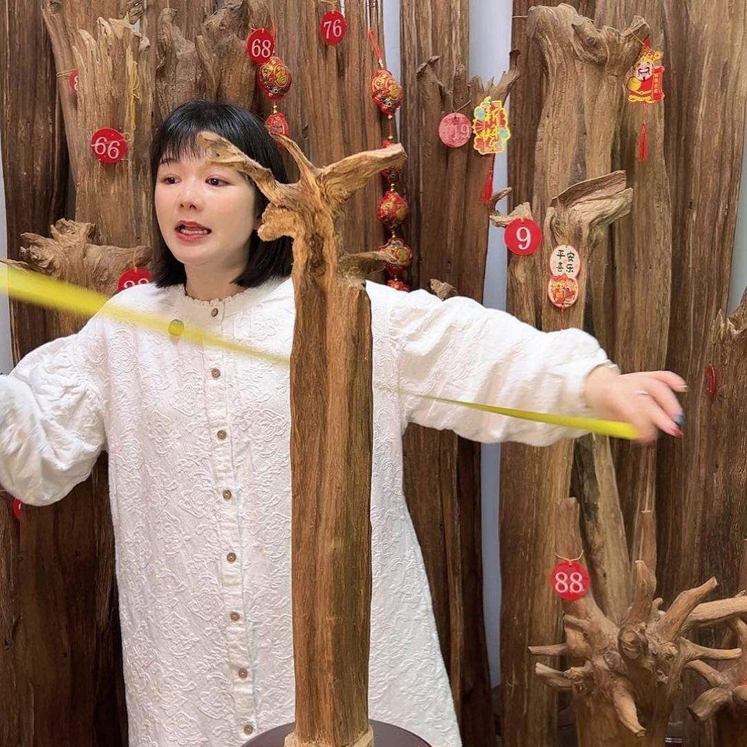 沉香摆件沉香原料摆件工艺品