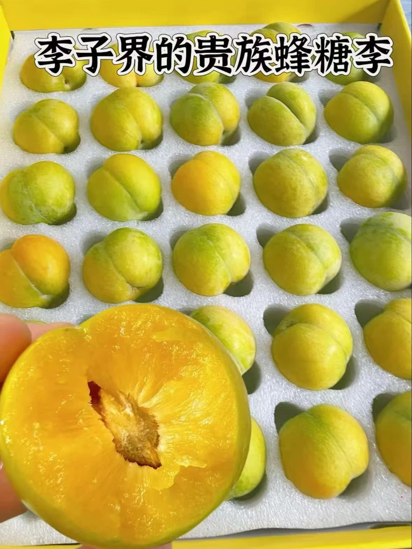 镇宁蜂糖李六马溯源孕幼新鲜李子水果