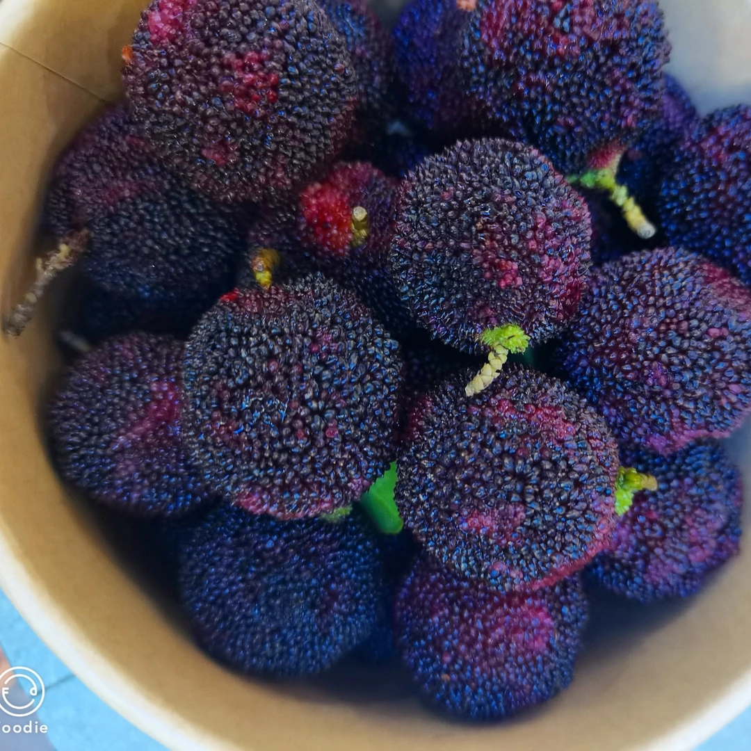 乌梅杨梅，微微带酸，汁多味浓，250g~500g青梅（需清洗请备注）