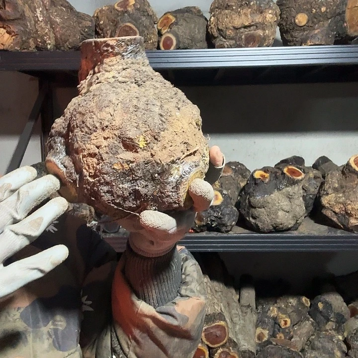 开***乐香榧木火琉璃的故事是一个