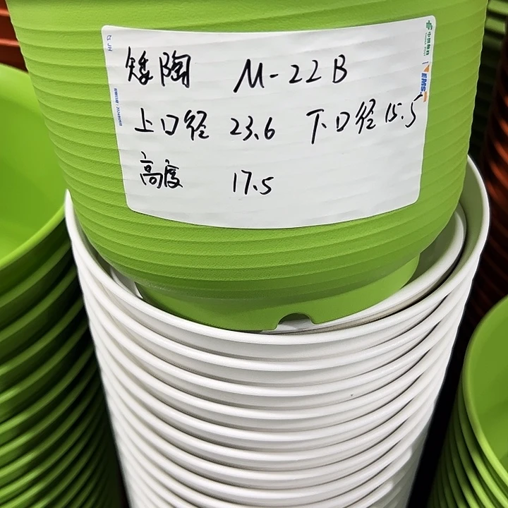 正品矮陶口24高17果绿无托6个
