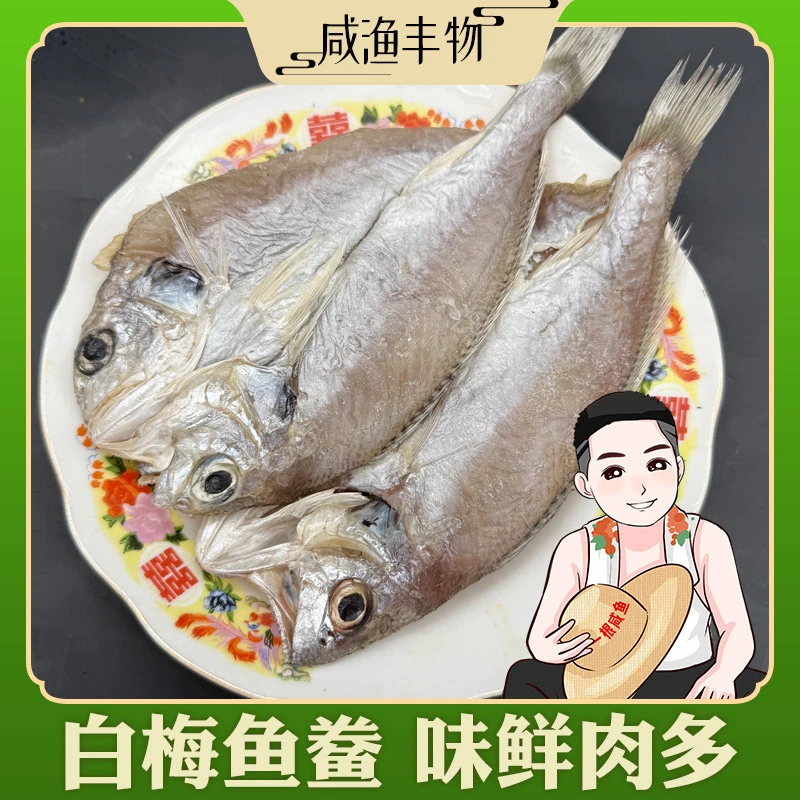 象山石浦淡晒白梅鲞白姑鱼鲞咸鱼干下饭菜宁波海鲜干货