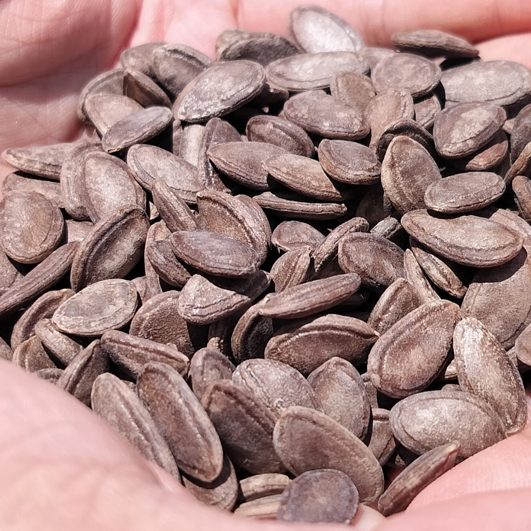 【庆娃代卖增收】瓜蒌籽