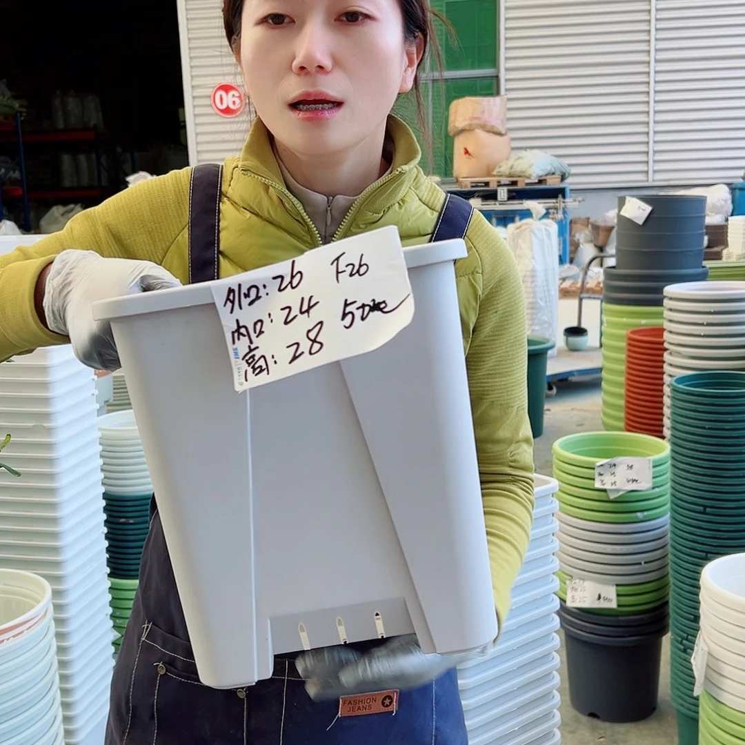 微瑕疵F26灰白4个无托