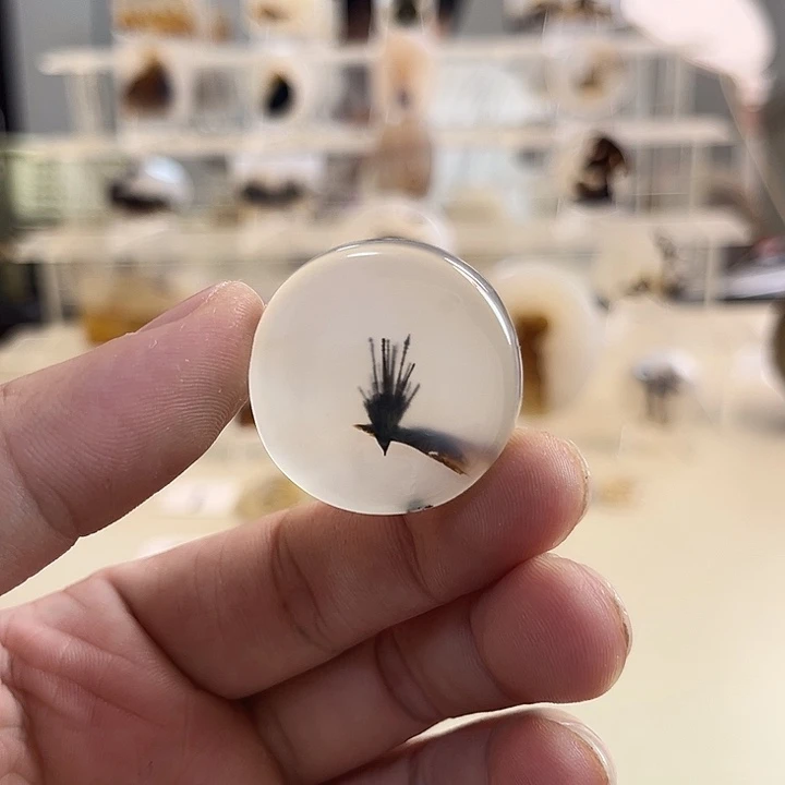 玛瑙/玉髓吊坠(不含链)未镶嵌