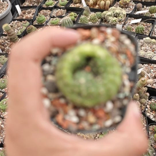 士童士童属士童士童！！！！！！！