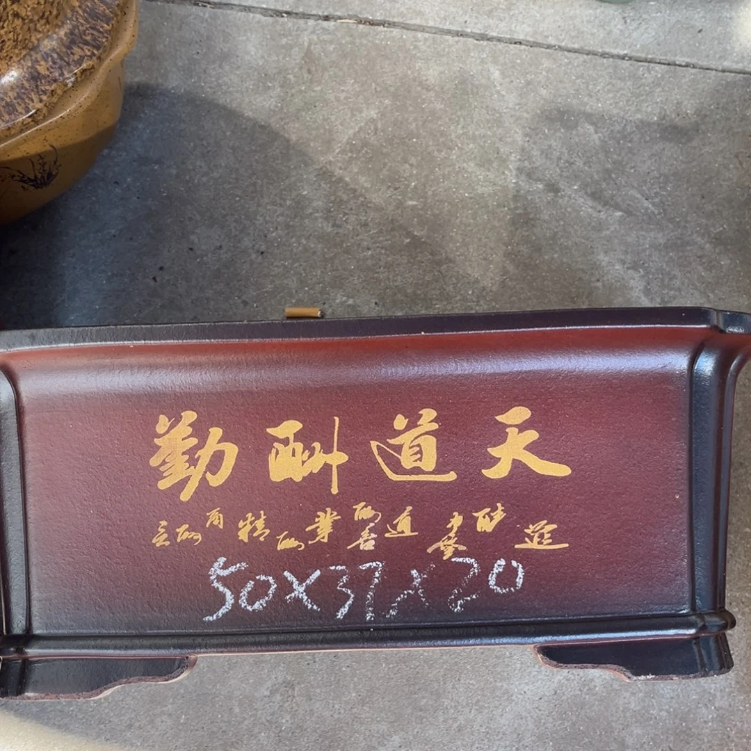 紫砂花盆盆景艺术