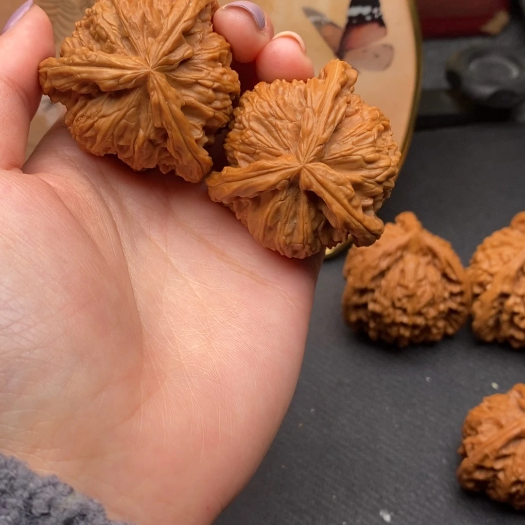 爱***起白狮子11111111