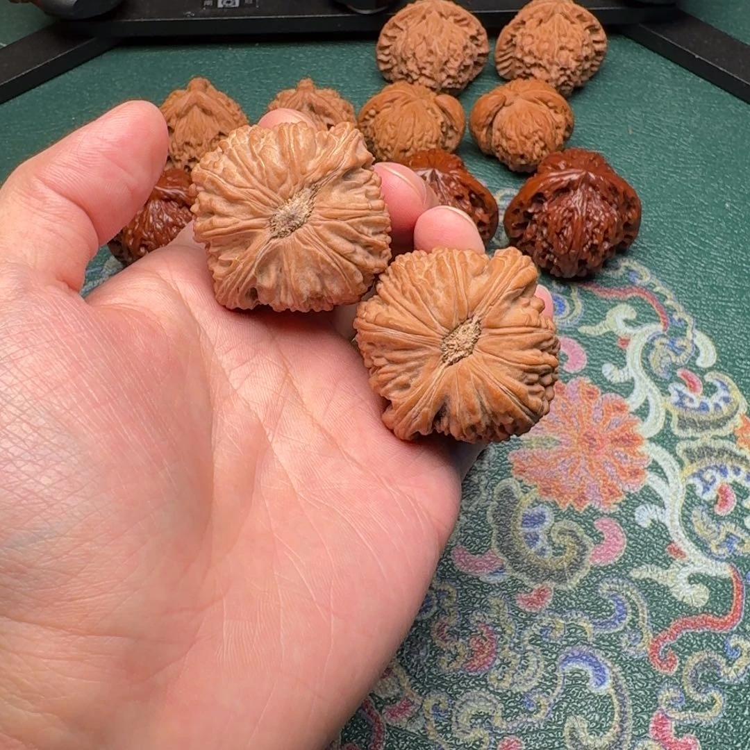 核桃文玩核桃卡姿兰大眼睛白狮子