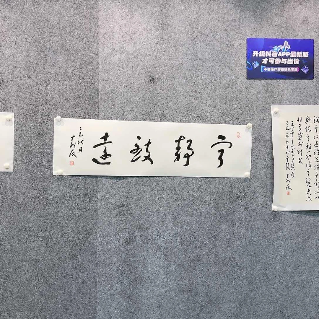 国画国画作品zsy老师