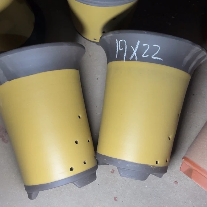 周三周四这是在深圳做销售