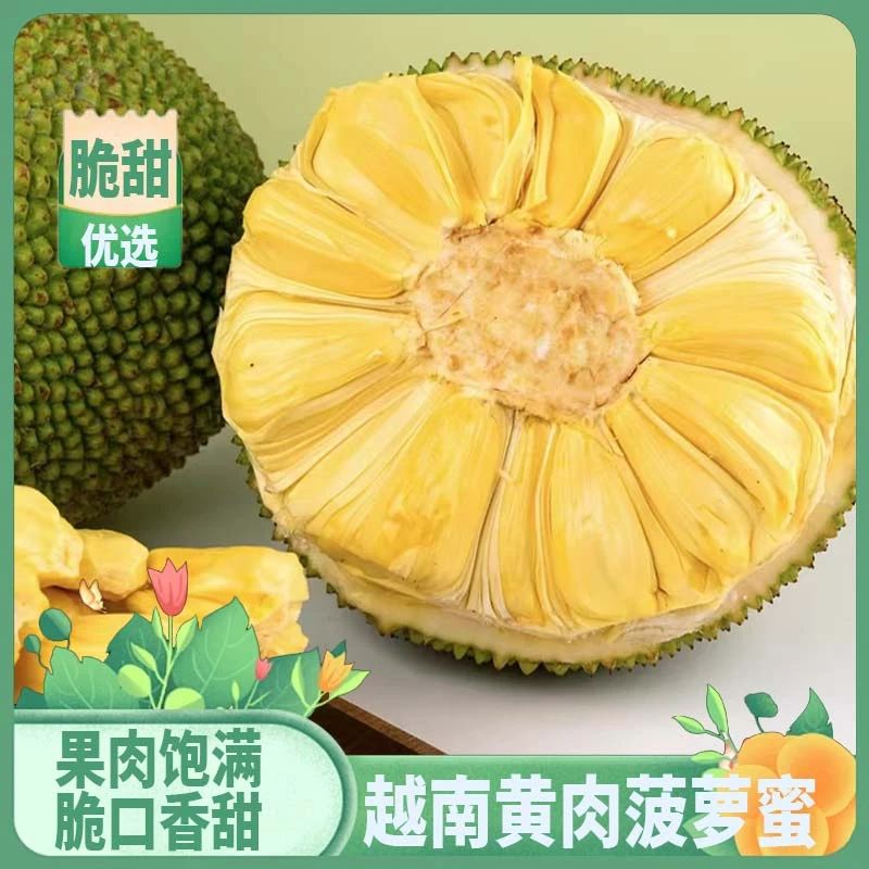 越南进口黄肉菠萝蜜出肉率高甜脆爽口新鲜热带水果菠萝蜜一整个