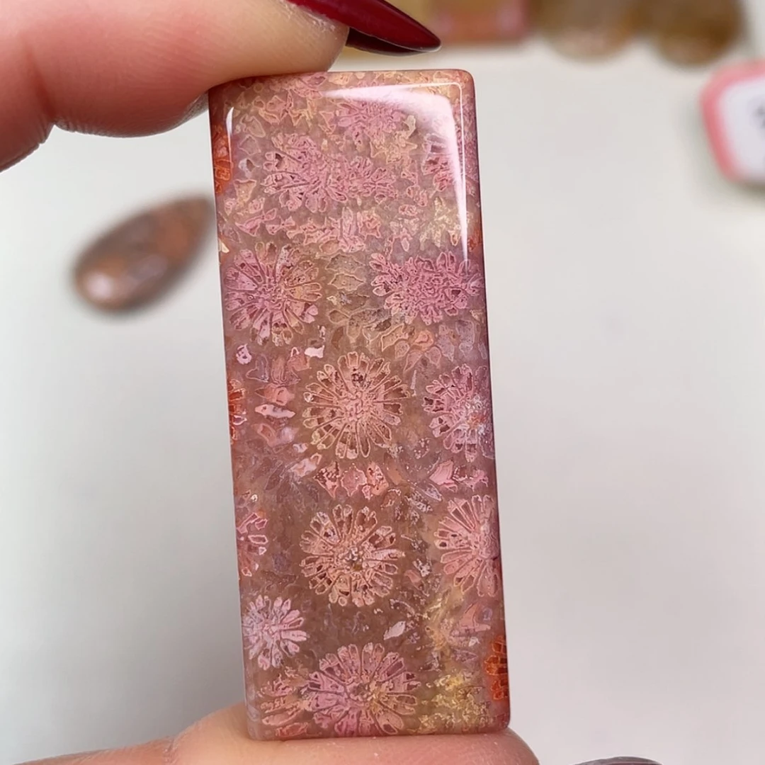 【闪购商品】未镶嵌吊坠(赠链)硅化玉