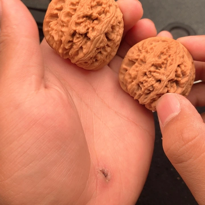 文玩核桃把件30号46大粗筋