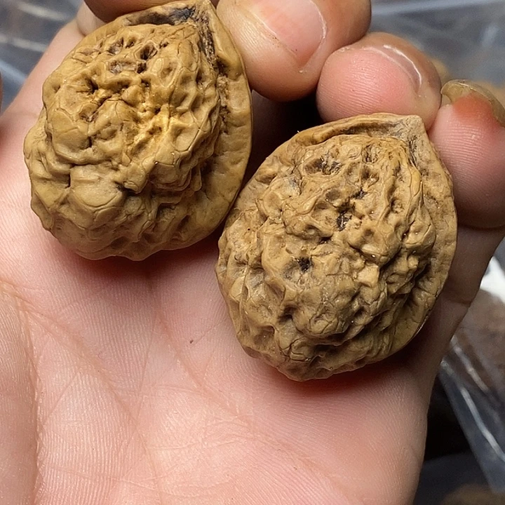 文玩核桃把件云南铁核桃62