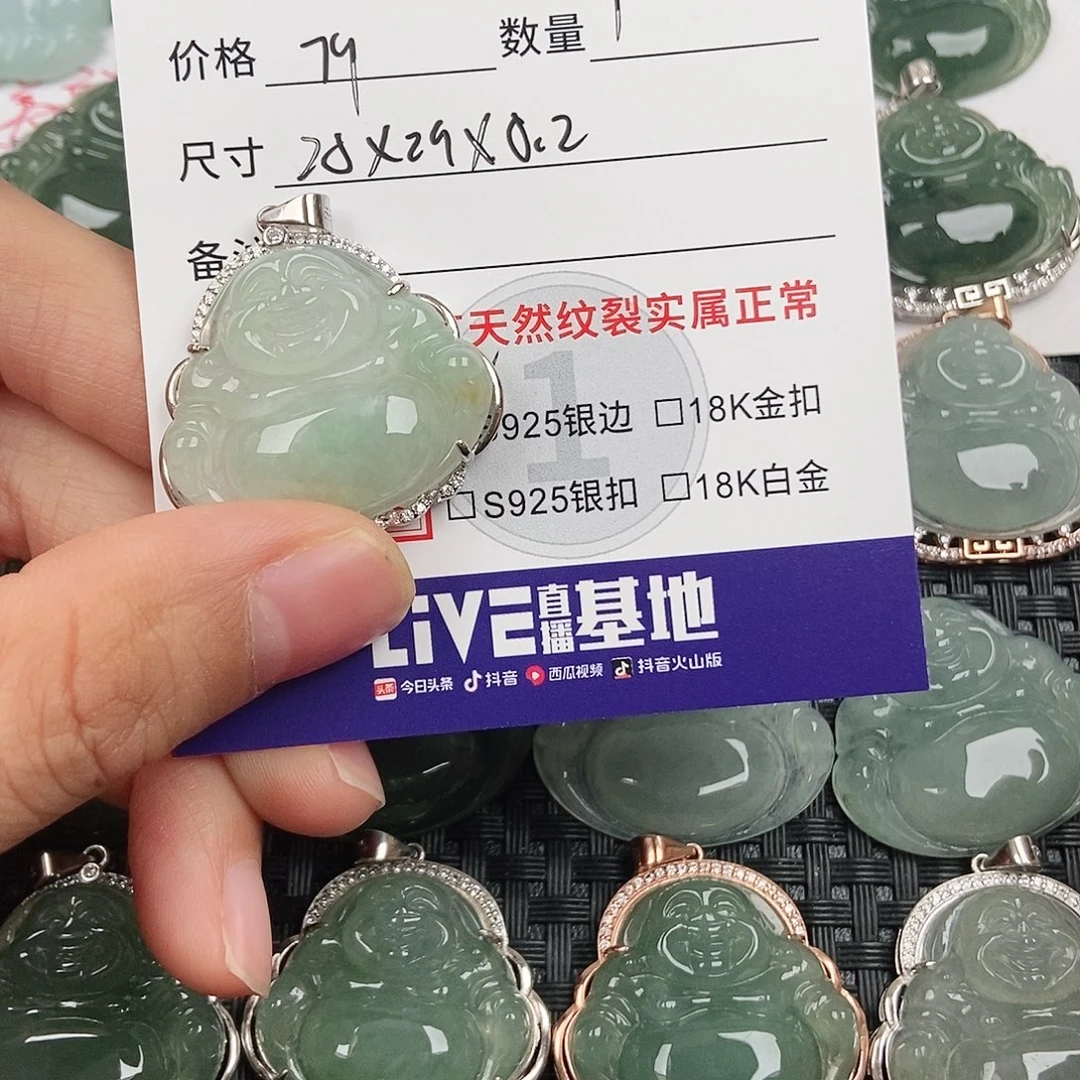 翡翠银S925镶嵌颈饰