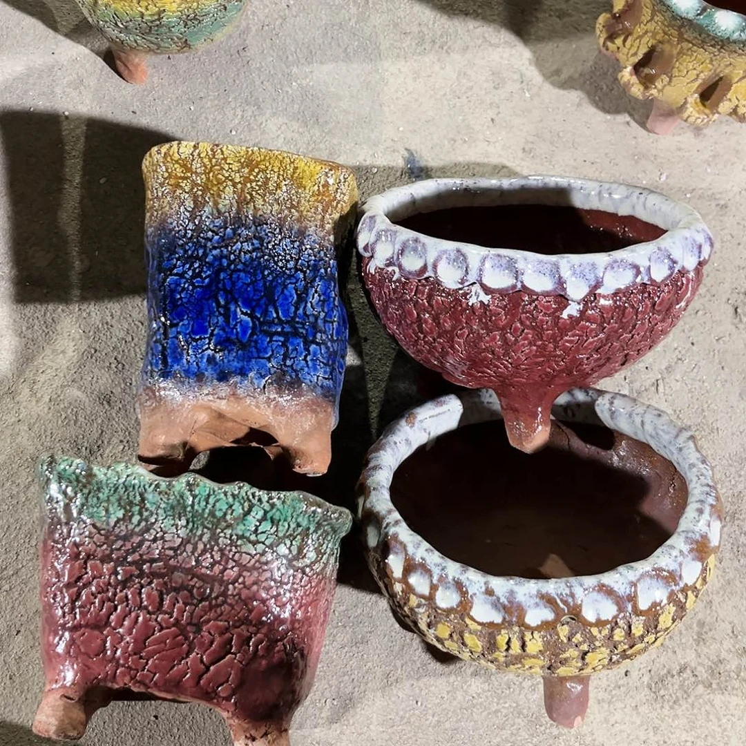 紫砂花盆花盆里的小猫咪