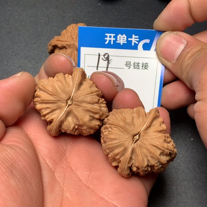 文玩核桃把件36白狮子19