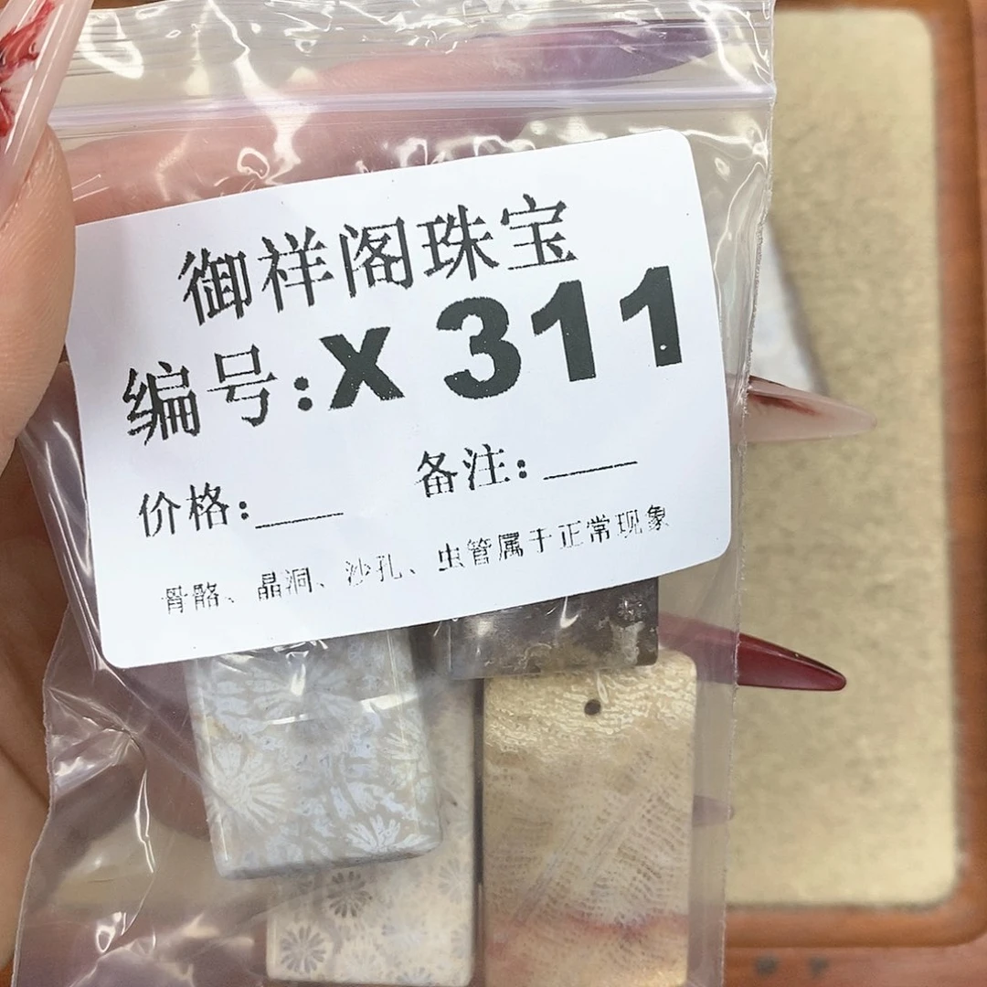 硅化珊瑚（珊瑚玉）颈饰未镶嵌T**a