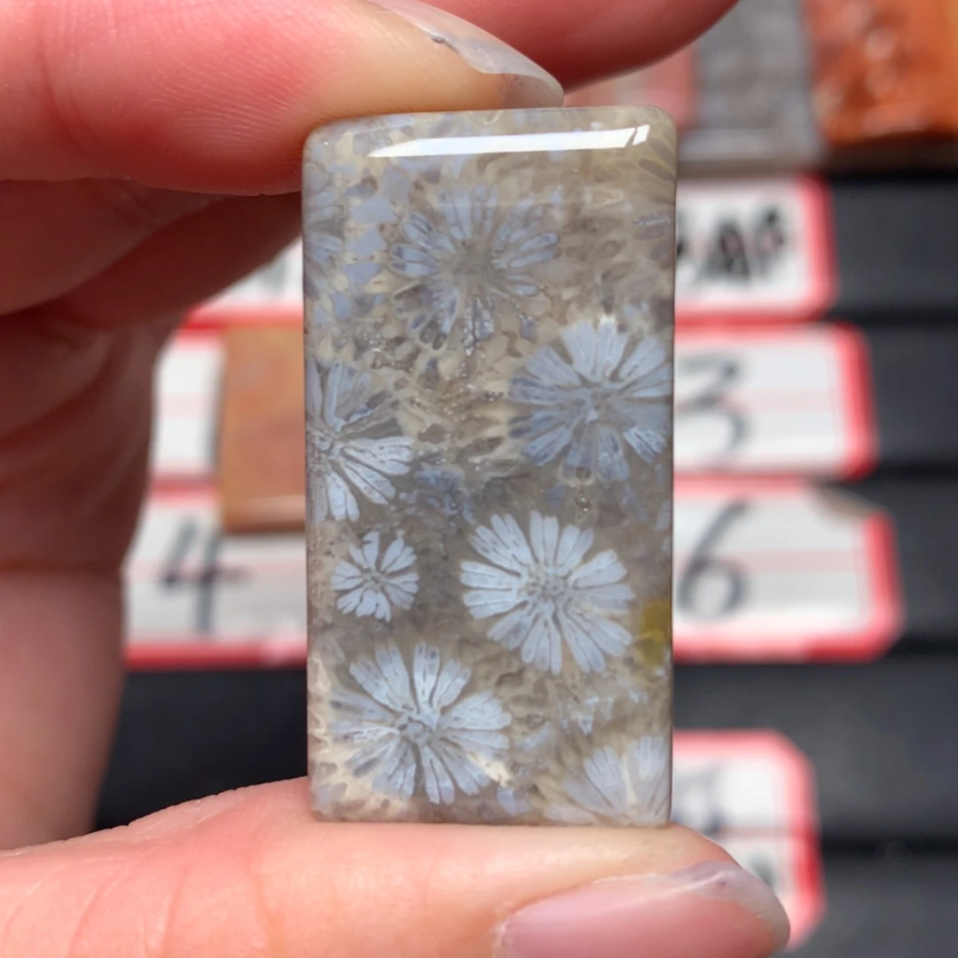 【闪购商品】未镶嵌颈饰硅化玉行****知
