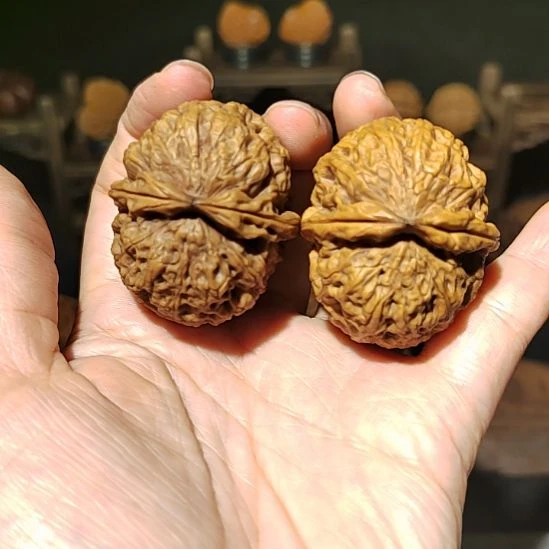 把件文玩核桃福利云铁粗筋珊瑚纹42尺