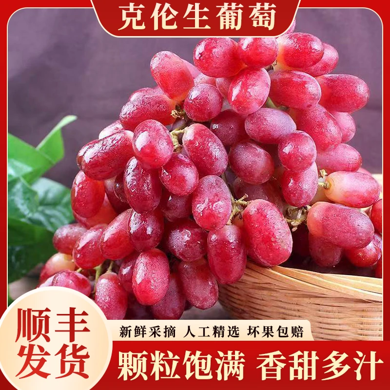 【顺丰】四川大凉山克伦生葡萄无籽红提新鲜脆甜多汁饱满当季水果