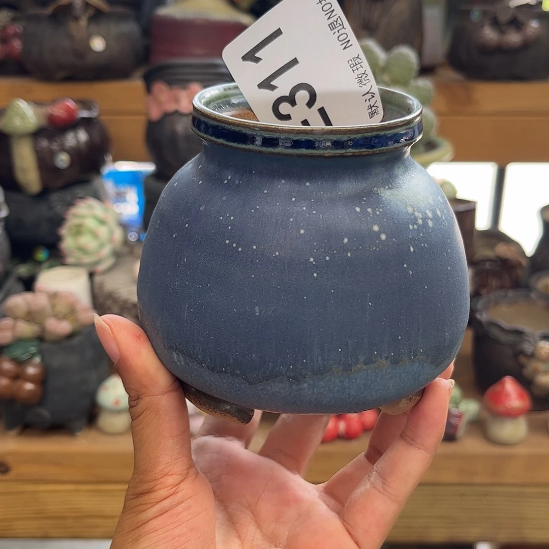 要不要这样子就行吗311