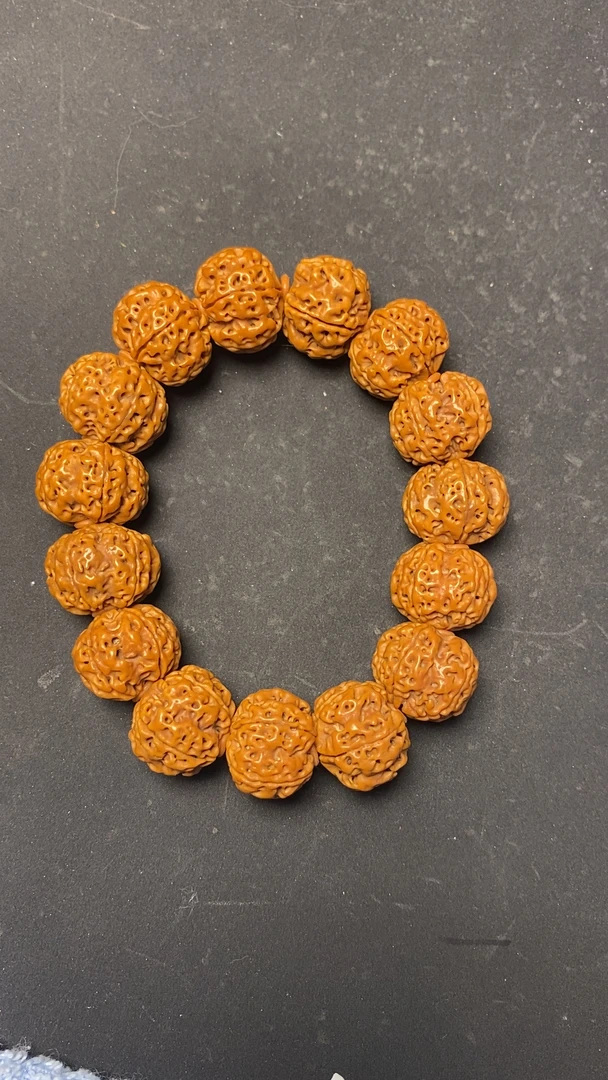 飞碟梅花原生态，尼泊尔大金刚。