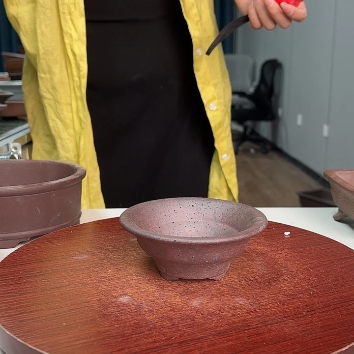 紫砂花盆浅草紫砂花盆