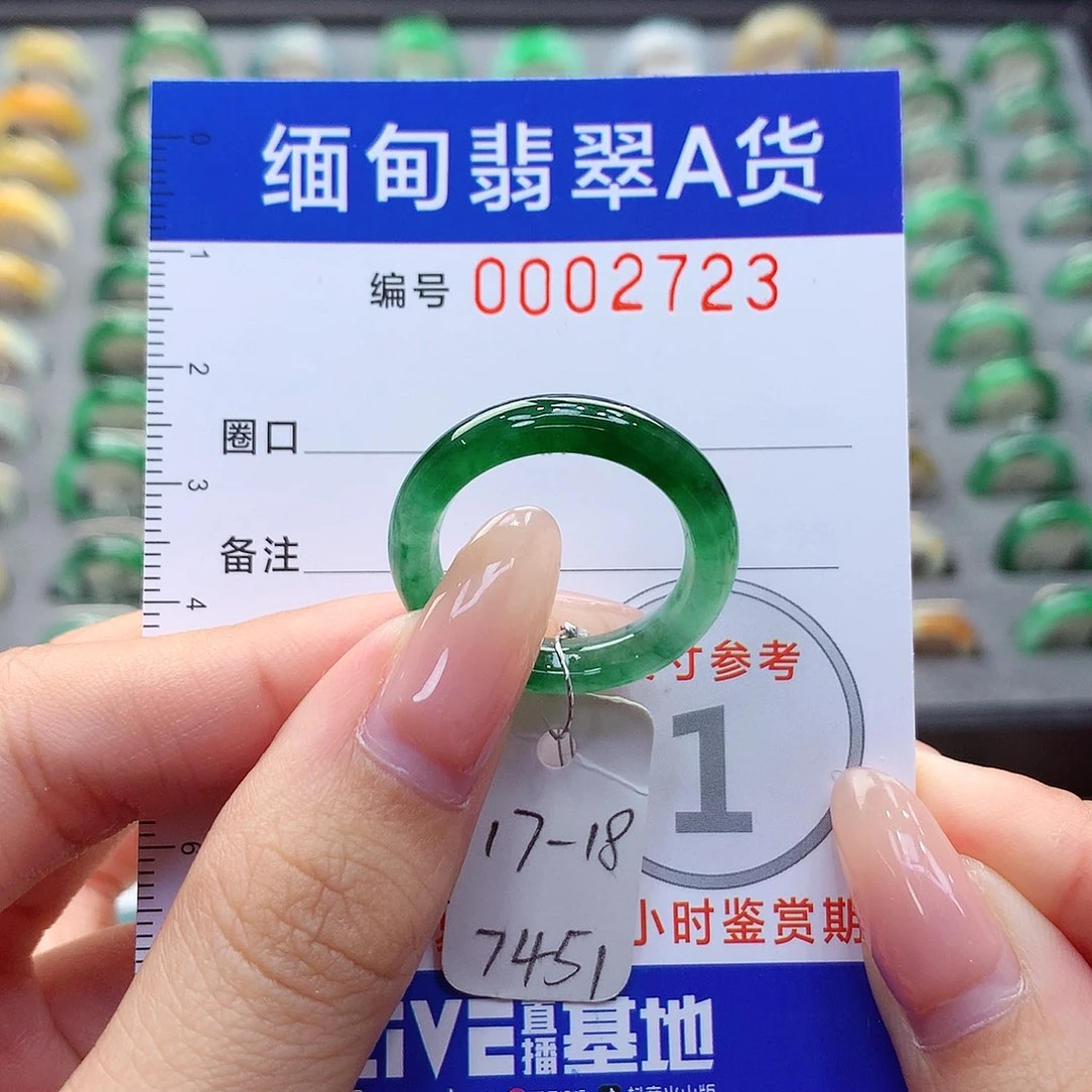 未镶嵌戒指翡翠17.18号
