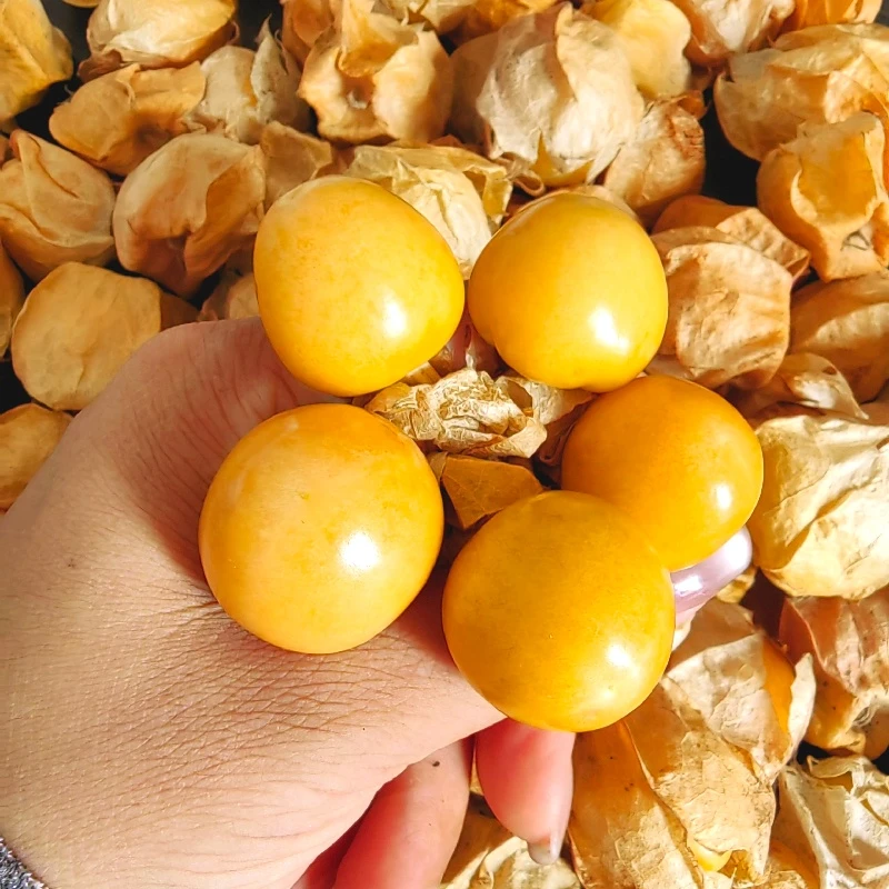 东北姑娘果新鲜（灯笼果）