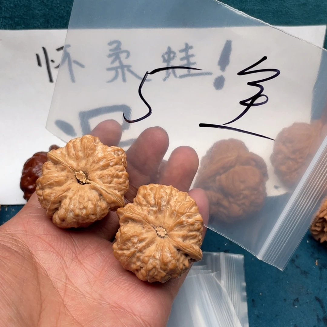 核桃735357753735537375753