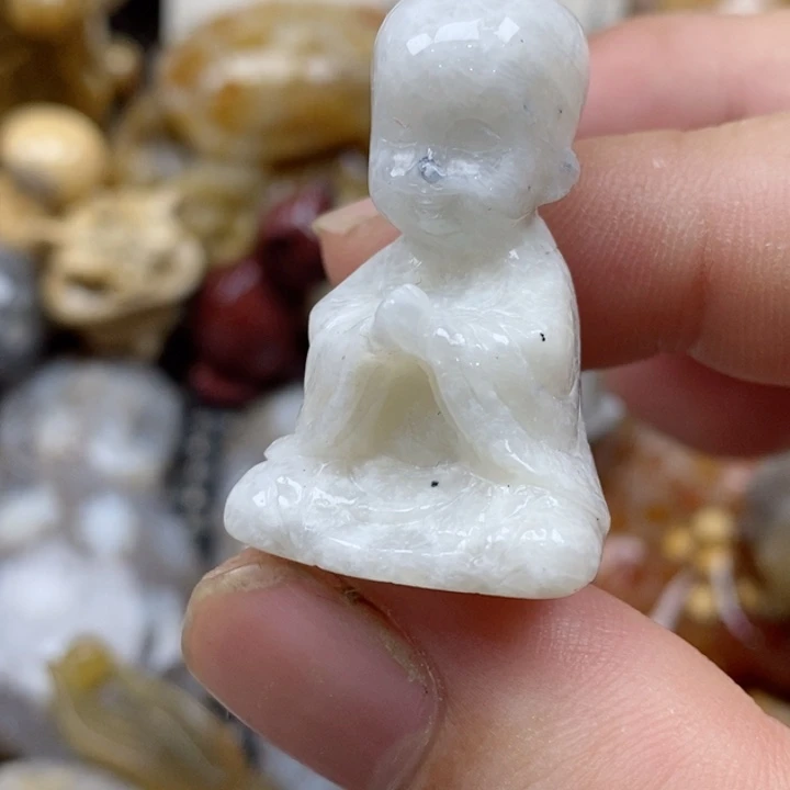颈饰未镶嵌硅化珊瑚（珊瑚玉）y有瑕