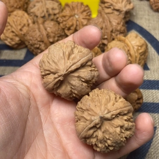 吊坠文玩核桃霸王龙