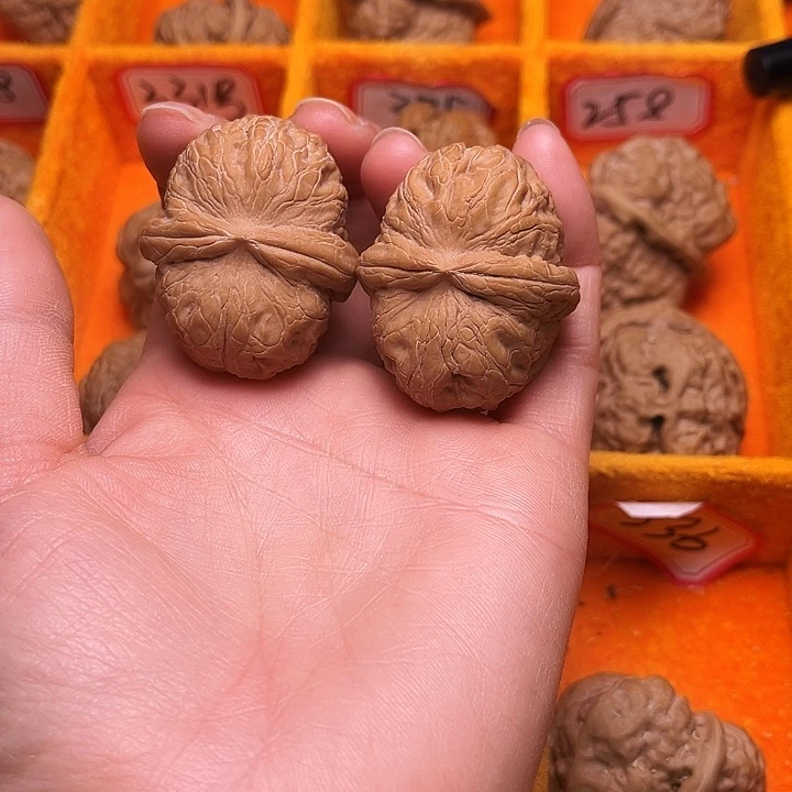 葫芦涞水山地元宝全品40尺