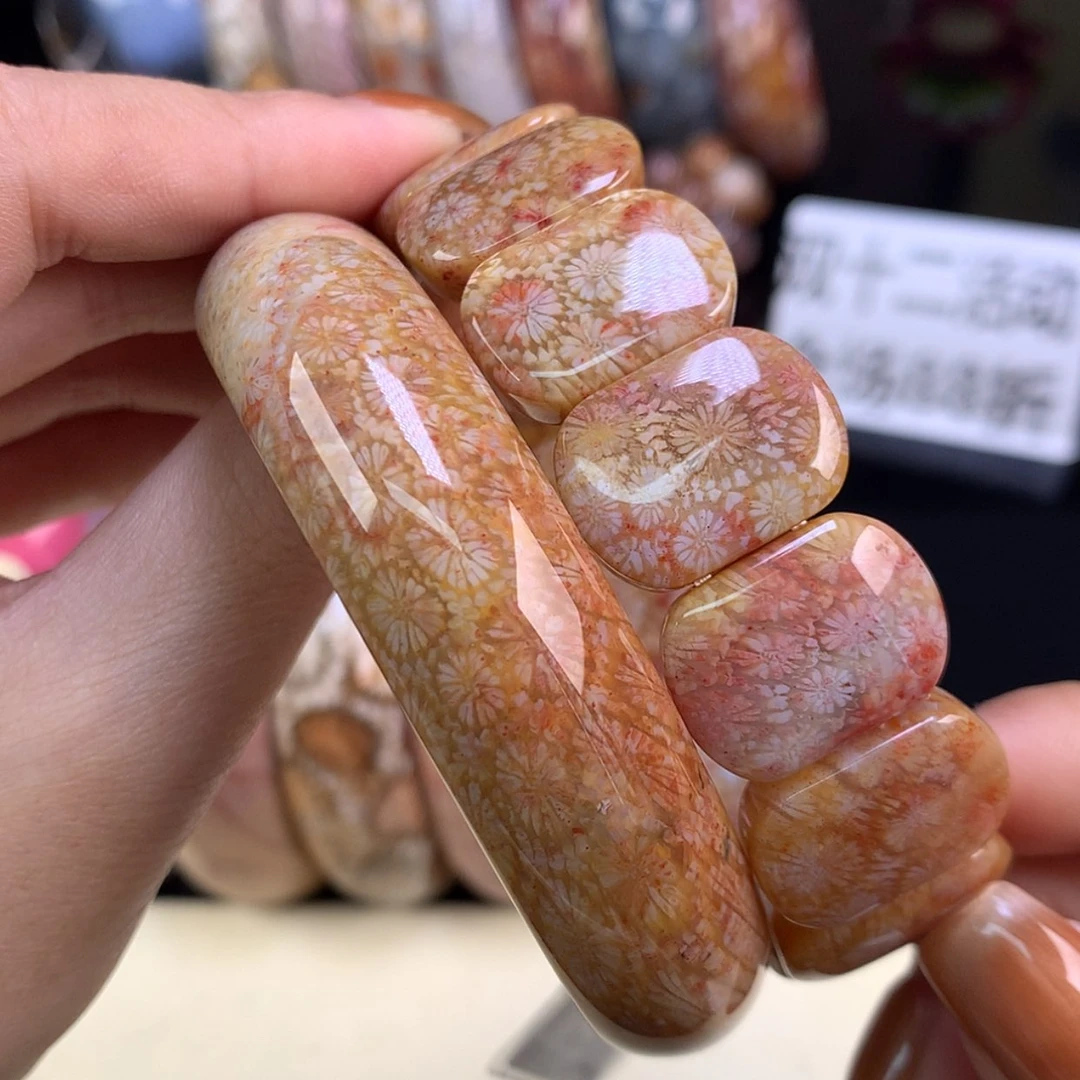 【闪购商品】颈饰未镶嵌硅化珊瑚（珊瑚玉）配套58.8 各原4000漏（9号）